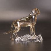 Swarovski SCS Annual Edition Cheetah Baby 7.5 tall in original box