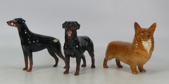 Three Beswick dogs to include Rottweiler 3056, Doberman 2299 and Corgi 1299. (3)