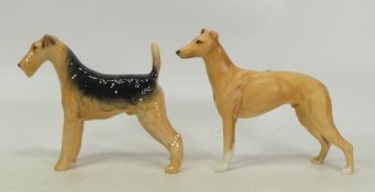 Beswick dogs to include Gloss Airedale Terrier 'Cast Iron' Monarch', Matt finish Grey hound, tallest