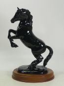 Beswick black gloss rearing Welsh Cob (1014) on wooden plinth, height 28cm
