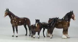 Beswick gloss horses to include Shetland pony, Shire, Racehorse, Arab, tallest 20cm(4)