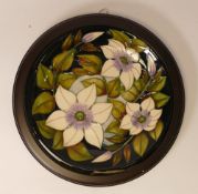 Moorcroft Plate 783/10, 'Sophie Christina' designer Sian Leaper on dark blue ground measures 30cm