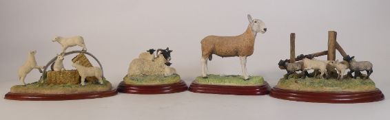 Border Fine Arts, James Herriot Studio figurines to include Lambs and Shelter A3704 (ears broken off