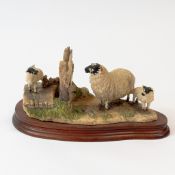 Border Fine Arts 'Wrong Side of the Fence', (Ewe and lambs), model no.JH100 by Anne Wall, limited
