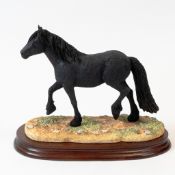 Border Fine Arts 'Cumbrian Fell Pony', model no.B0812 by Kirsty Armstrong, limited edition no.365 of