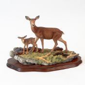 Border Fine Arts 'Highland Family' (Red Deer Hind and Calf), model no.B0306 by Richard Roberts, on