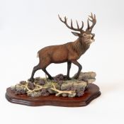 Border Fine Arts 'Highland Majesty' (Stag), model no.B0220, by R. Roberts, on wooden plinth. (L: