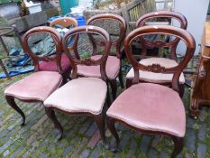 5 matching mahogany balloon back upholstered dining chairs plus 1 (6)