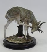 Giuseppe Armani resin figure of a deer scratching, from the wildlife collection.