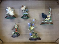 A collection of five Country Artist's bird figures, all mounted on wooden plinths (1 tray).