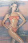 A collection of glamour and erotic posters from 1970's, 80's and 90's to include Samantha Fox, Linda