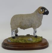 Castle Sculptures, Herdwick Tup ram on wooden plinth. (H: 16cm)