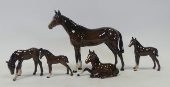 Royal Doulton thoroughbred bay horse and thoroughbred four foals standing or lying down. (5)