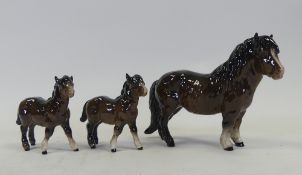 Royal Doulton Shetland pony with two Shetland foals. (3)