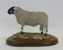Castle Sculptures, Herdwick Ewe on wooden plinth. (H: 16.5cm)