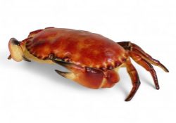 Cast iron Crab sculpture hinged shell, trinket box. 33cm x 20cm