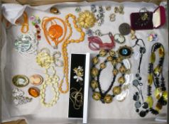 A selection of Costume Jewellery to include:- Cameo style brooches, necklaces, eleven pairs of