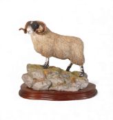 Border Fine Arts Blackie Tup, model no.B0354 by Ray Ayres, limited edition no.1074 of 1750.
