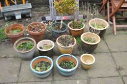 A SELECTION OF PLANT POTS, including glazed and terracotta (12)