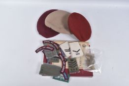 A BOX OF VARIED INSIGNIA, BOOKS ETC WITH AN SAS AND PARACHUTE REGIMENT AND SIGNALS INTEREST, as
