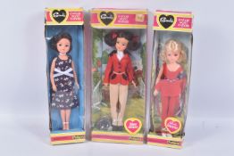 THREE BOXED PEDIGREE SINDY DOLLS, the first a Dancer 44714, the second a Show Jumper 44698, the