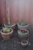 FIVE VARIOUS GLAZED PLANTERS, include a set of three graduated planters, largest diameter 53cm x
