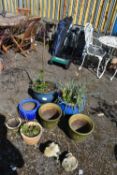 SEVEN GLAZED PLANT POTS, of various sizes and colours, one pot containing an acer tree, along with
