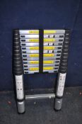 A BUY DIRECT TELESCOPIC LADDER, with twelve rungs to each section, 380cm extended length, closed