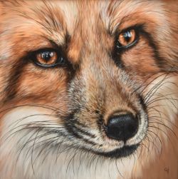 Antique & Home Sale 12th May 2025