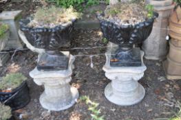 A PAIR OF BLACK PAINTED CONCRETE GARDEN PLANTERS ON CONCRETE BASES, bowls have acanthus leaf