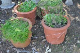 A SET OF FOUR TERRACOTTA PLANT POTS, with robe and swag detail to bowls, all 43cm in diameter (4)