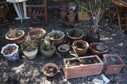 A SELECTION OF GARDEN POT AND PLANTS, of various styles, shapes and materials, one pot containing