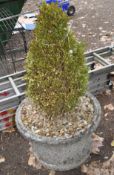 A LARGE WEATHERED CONCRETE GARDEN PLANT POT with foliate motifs between lattice detailing, 60cm in