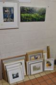 A SELECTION OF DECORATIVE PAINTINGS AND PRINTS, to include a Debora Walker (RI RSMA) watercolour