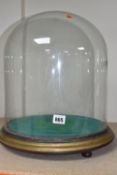 A LARGE CYLINDRICAL GLASS DOME ON A WOOD FOOTED BASE, approximate height 39cm, width 27cm, the