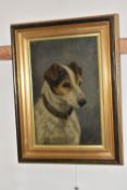 MARGARET WYNN (19TH / 20TH CENTURY) PORTRAIT OF A TERRIER, a head and shoulders portrait of a