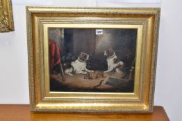 A 19TH CENTURY CANINE PICTURE IN THE STYLE OF GEORGE ARMFIELD, depicting four dogs in an