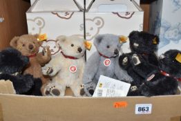 A BOX OF SIX SMALL STEIFF 'CLASSIC 'BEARS in various colourway, comprising two black bears No.