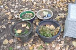 FOUR GLAZED GARDEN PLANT POTS with green, charcoal and brown finishes the largest being 38cm in