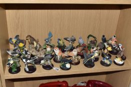 A COLLECTION OF 'THE COUNTRY BIRD COLLECTION' FIGURES AND SIMILAR, The Country Bird Collection,