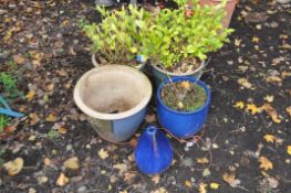 A PAIR OF SAGE GREEN GLAZED PLANT POTS, containing a garden plant, two blue glazed plant pots and