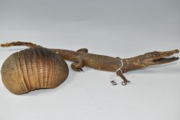 AN ARMADILLO SHELL AND A TAXIDERMY CAIMAN comprising a nine-band taxidermy armadillo shell, length