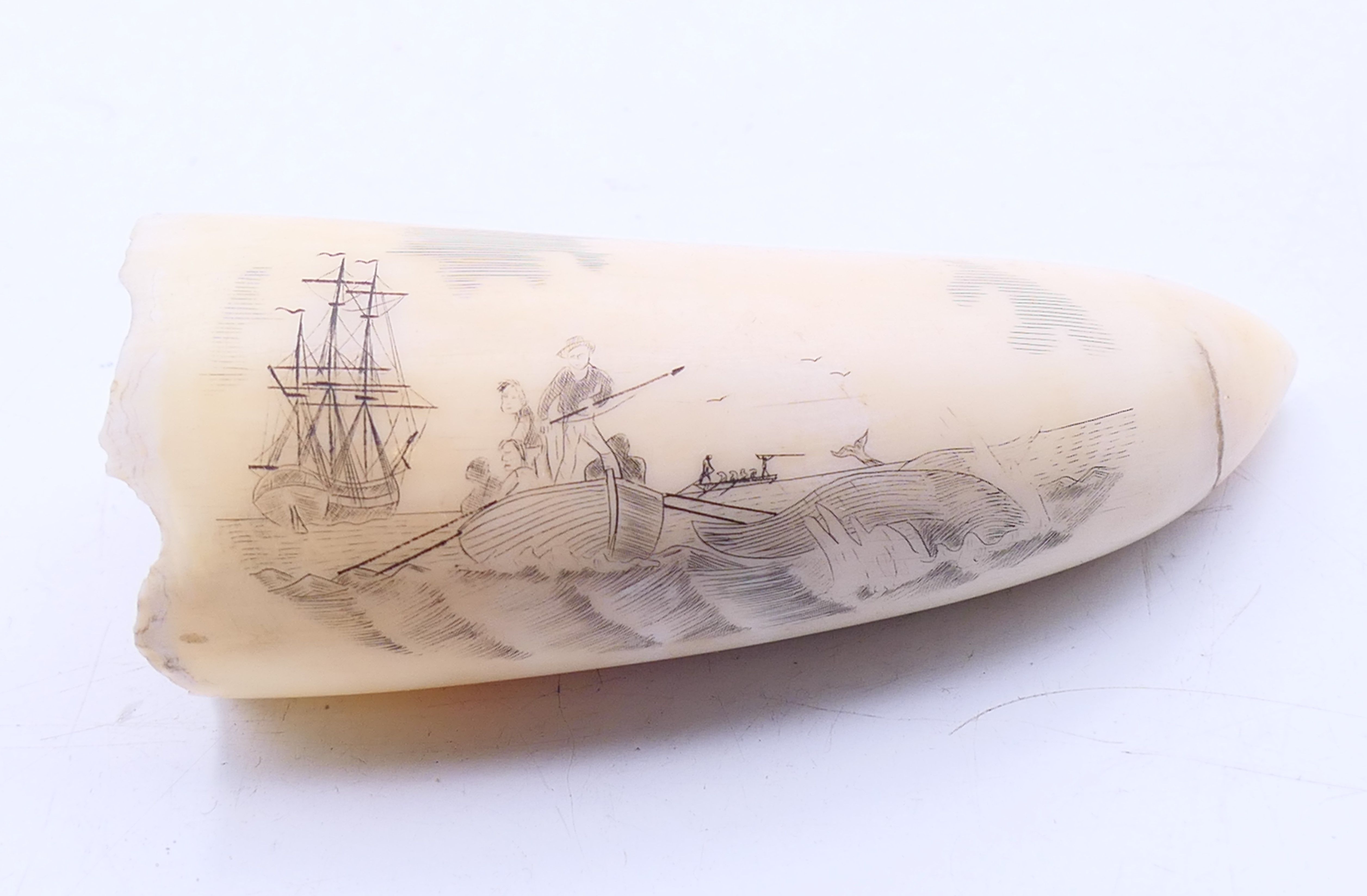 A scrimshaw whales tooth, one side engraved with a ship and boats, the other inscribed RACHEL.
