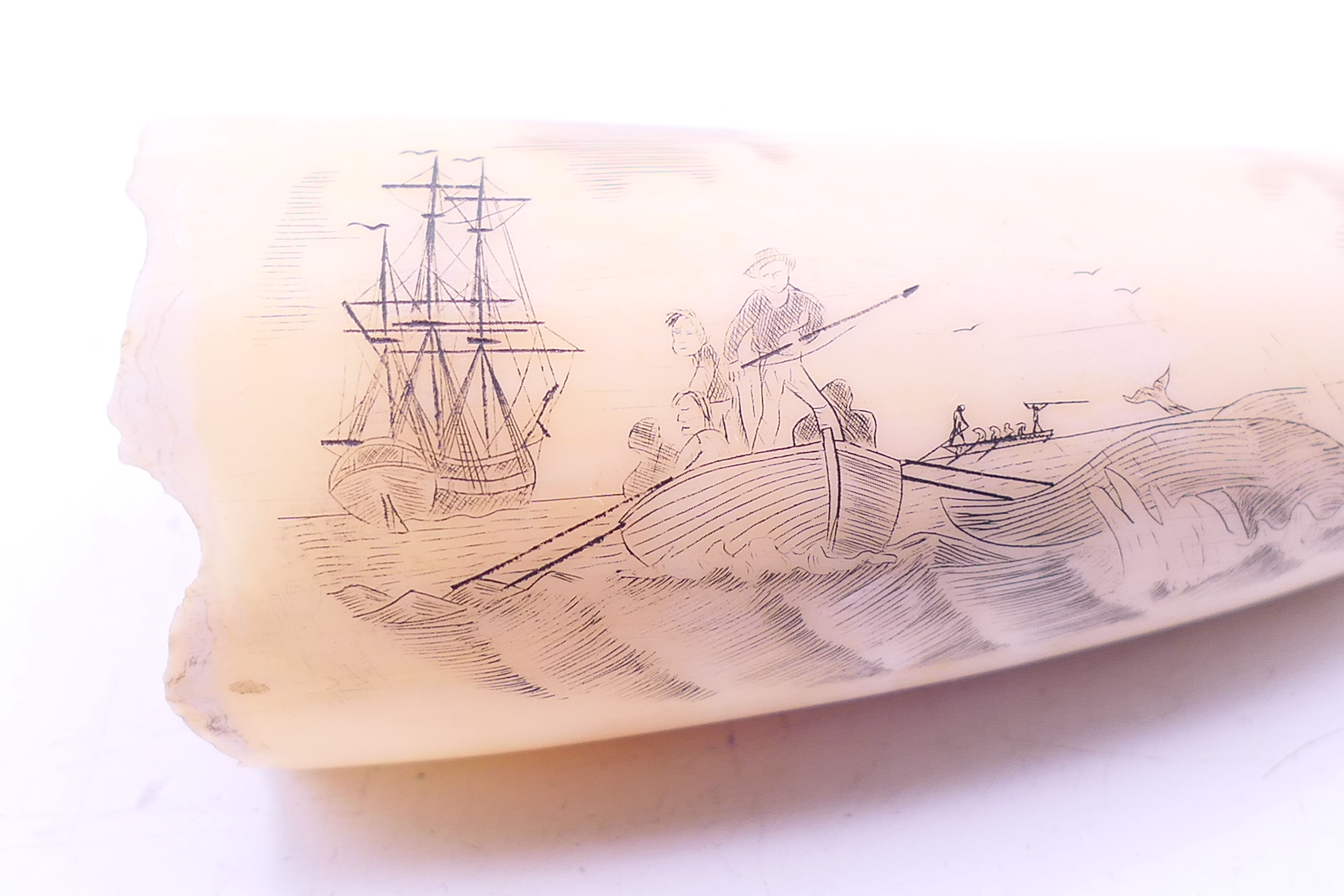 A scrimshaw whales tooth, one side engraved with a ship and boats, the other inscribed RACHEL. - Image 2 of 5