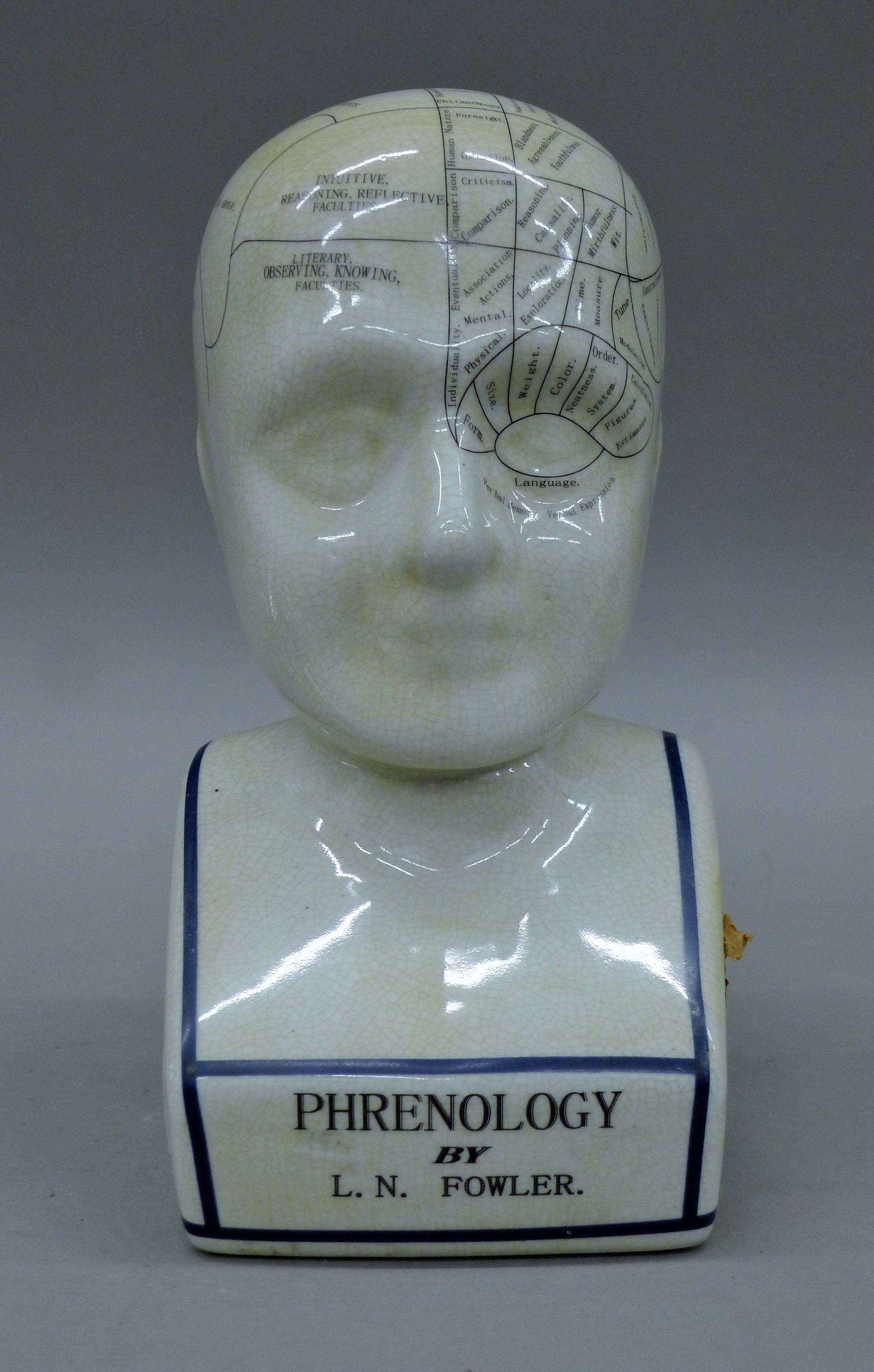 A porcelain phrenology head. 29 cm high.