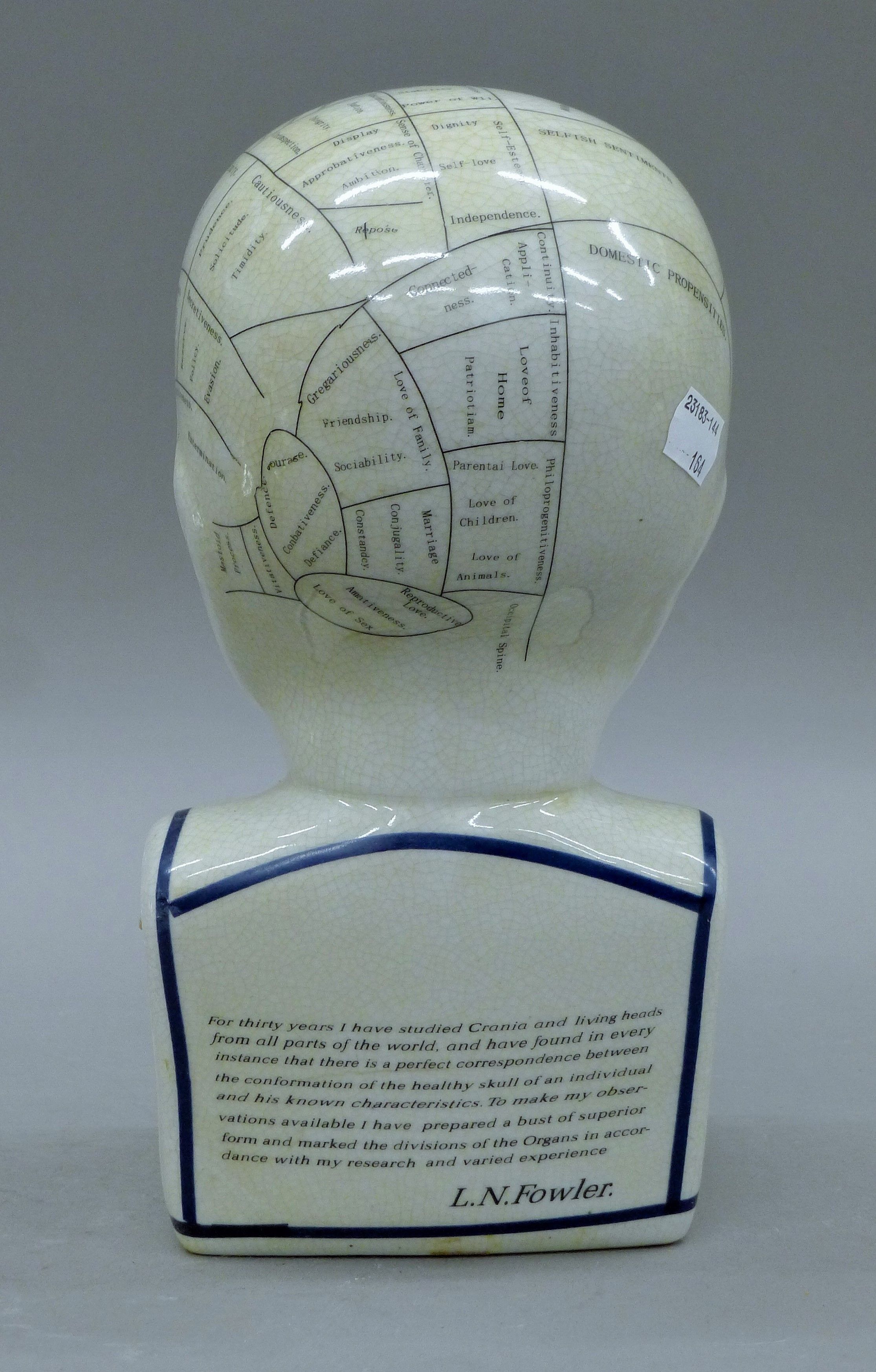A porcelain phrenology head. 29 cm high. - Image 4 of 4