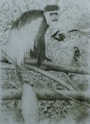 GREENWOOD, T J (born 1947) British (AR), Colobus Monkey, a signed limited edition drypoint,