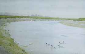 REANEY, JOHN (20th/21st century) British (AR), Mergansers, watercolour, signed and dated 1997,