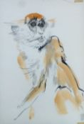 THOMPSON, RALPH (1913-2009) British (AR), Monkey, ink and watercolour, unframed. 56 x 38 cm.