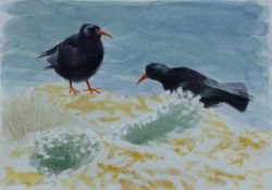 REES, DARREN (born 1961) British (AR), Choughs, watercolour, signed, unframed. 10 x 13 cm.